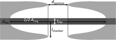 Ageing-induced shrinkage of intervessel pit membranes in xylem of Clematis vitalba modifies its mechanical properties as revealed by atomic force microscopy